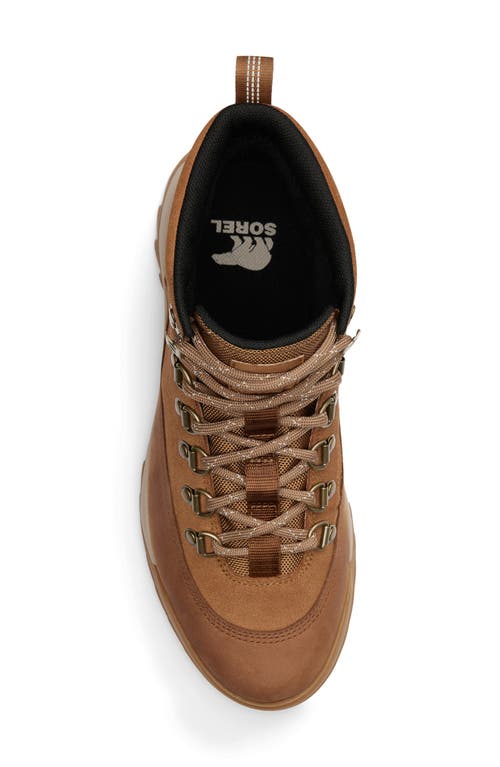 Sorel Scout 87 Pro Plus Waterproof Boot In Brown
