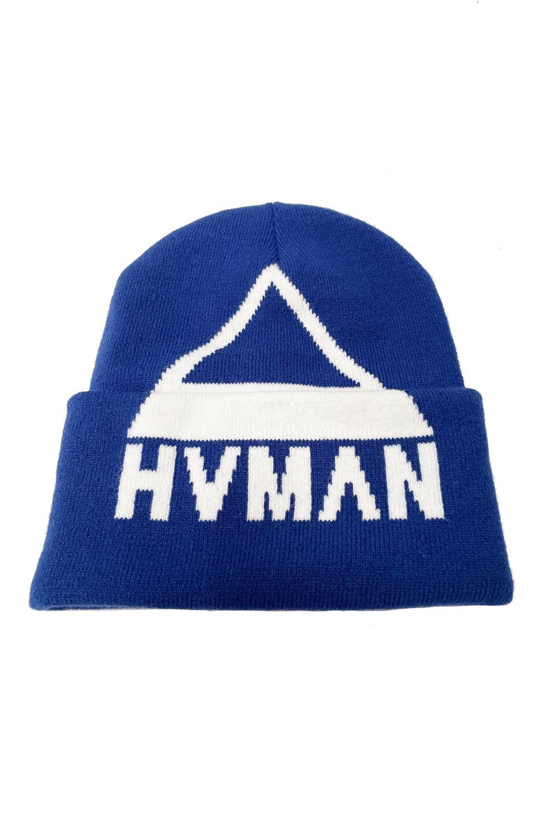 Triangle Logo Knit Beanie, Main, color, CLASSIC BLUE