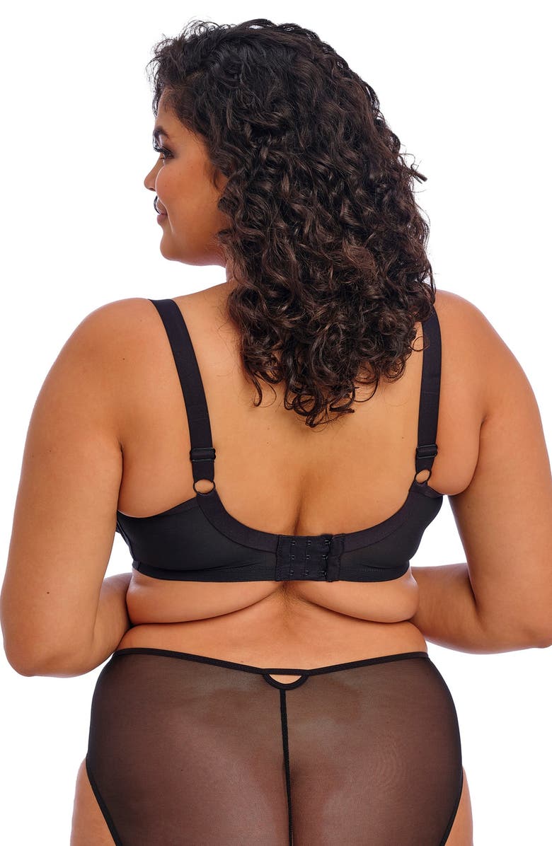 Elomi Sachi Full Figure High Waist Panties, Alternate, color, Black