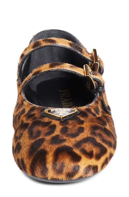 Prada Leopard Print Double Strap Ballet Flats