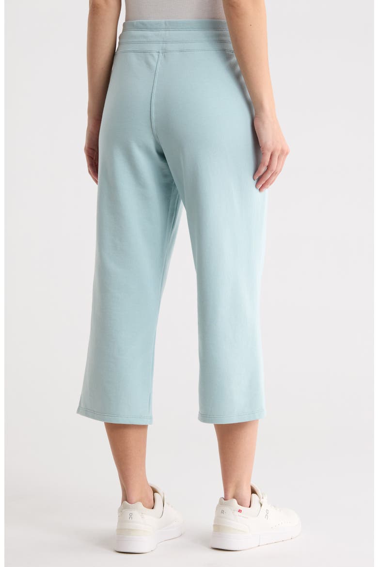 Drawstring Waist Crop Pants, Alternate, color, MINERAL