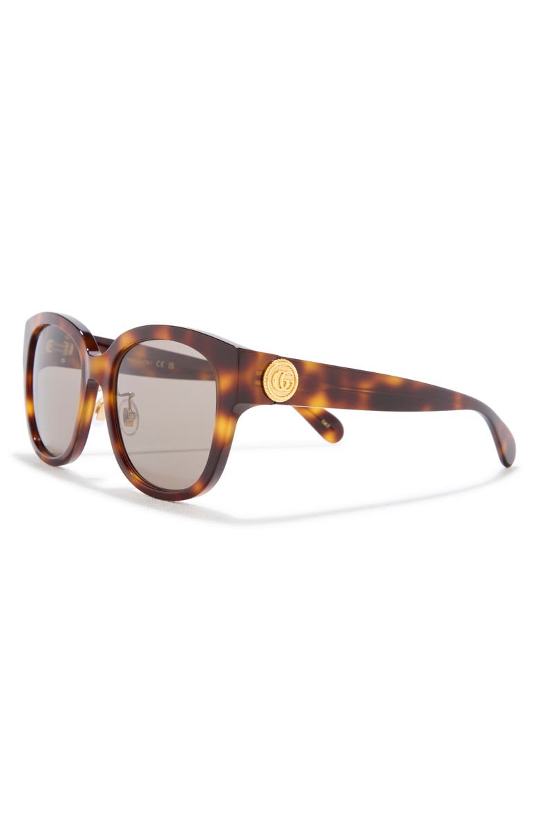 Gucci 55mm Round Sunglasses, Alternate, color, Havana Havana Brown