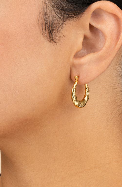 Sterling Forever Amaryllis Hammered Hoop Earrings In Gold