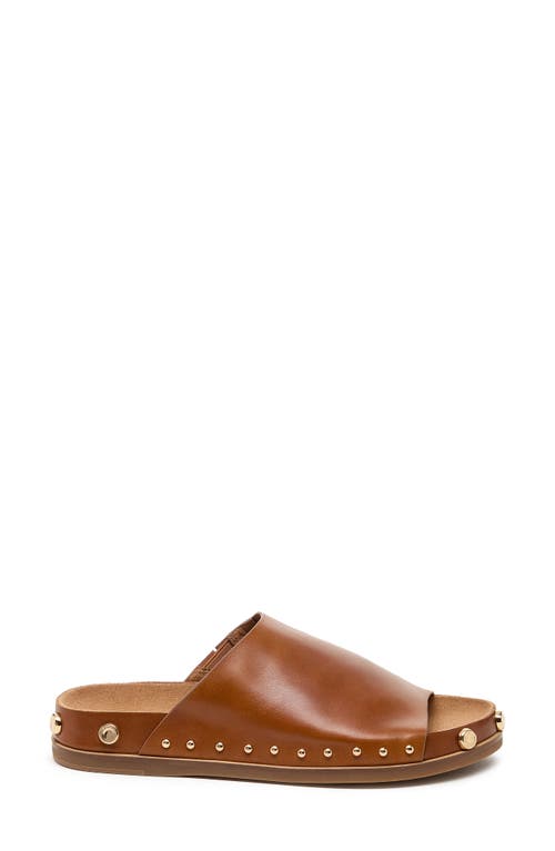 Kelsi Dagger Brooklyn Squish Stud Slide Sandal In Fox