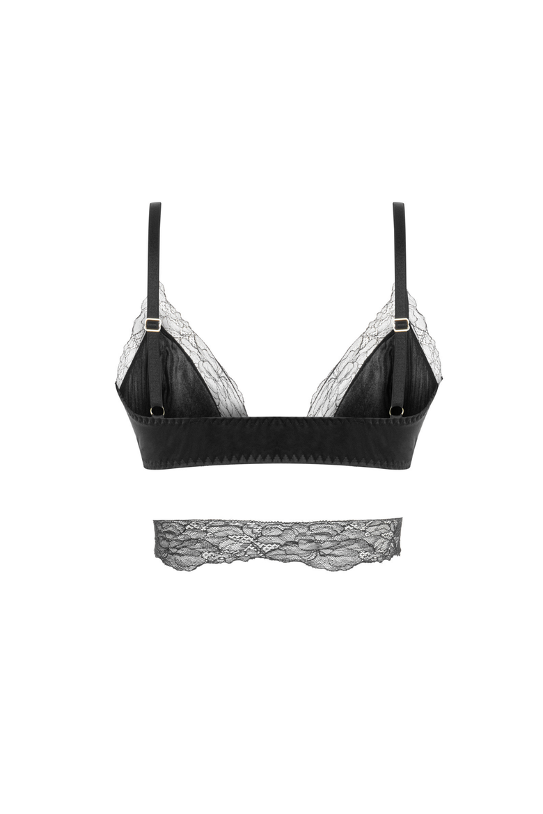 Clara Bra Silk & Lace Front-Closure Demi Bra, Alternate, color, Black