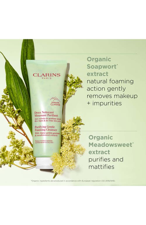Clarins Purifying Gentle Foaming Face Cleanser In Transparent