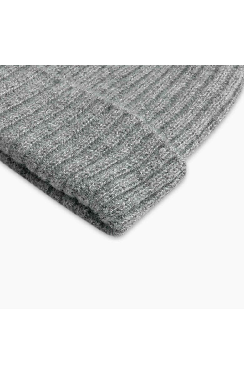 Turtle Fur Clara Beanie, Alternate, color, Ash