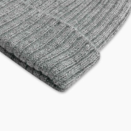 Turtle Fur Clara Beanie In Gray