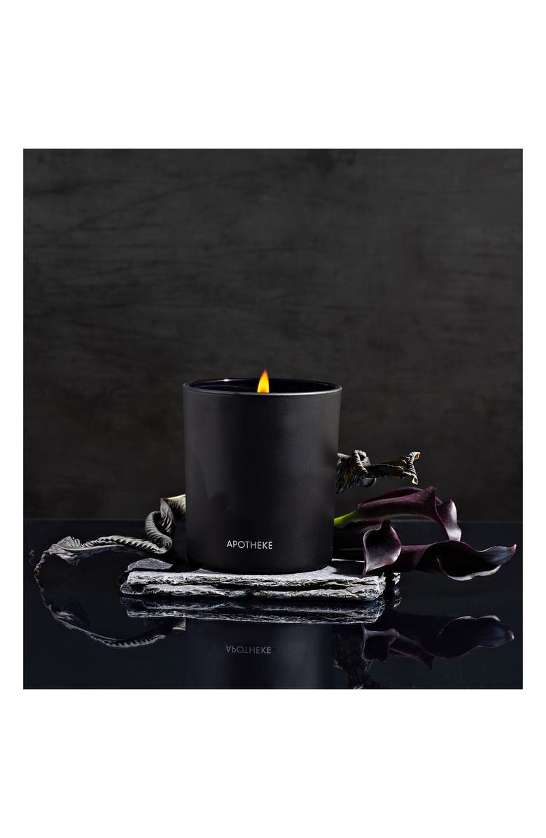 APOTHEKE Charcoal & Charcoal Rouge Scented Candle Duo, Alternate, color,
