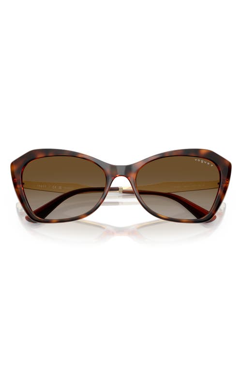 Vogue 56mm Polarized Gradient Cat Eye Sunglasses In Dark Havana