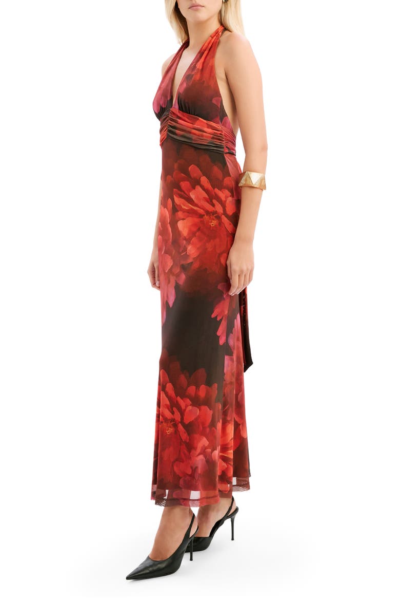 Elera Print Halter Mesh Maxi Dress, Alternate, color, RED FLORAL