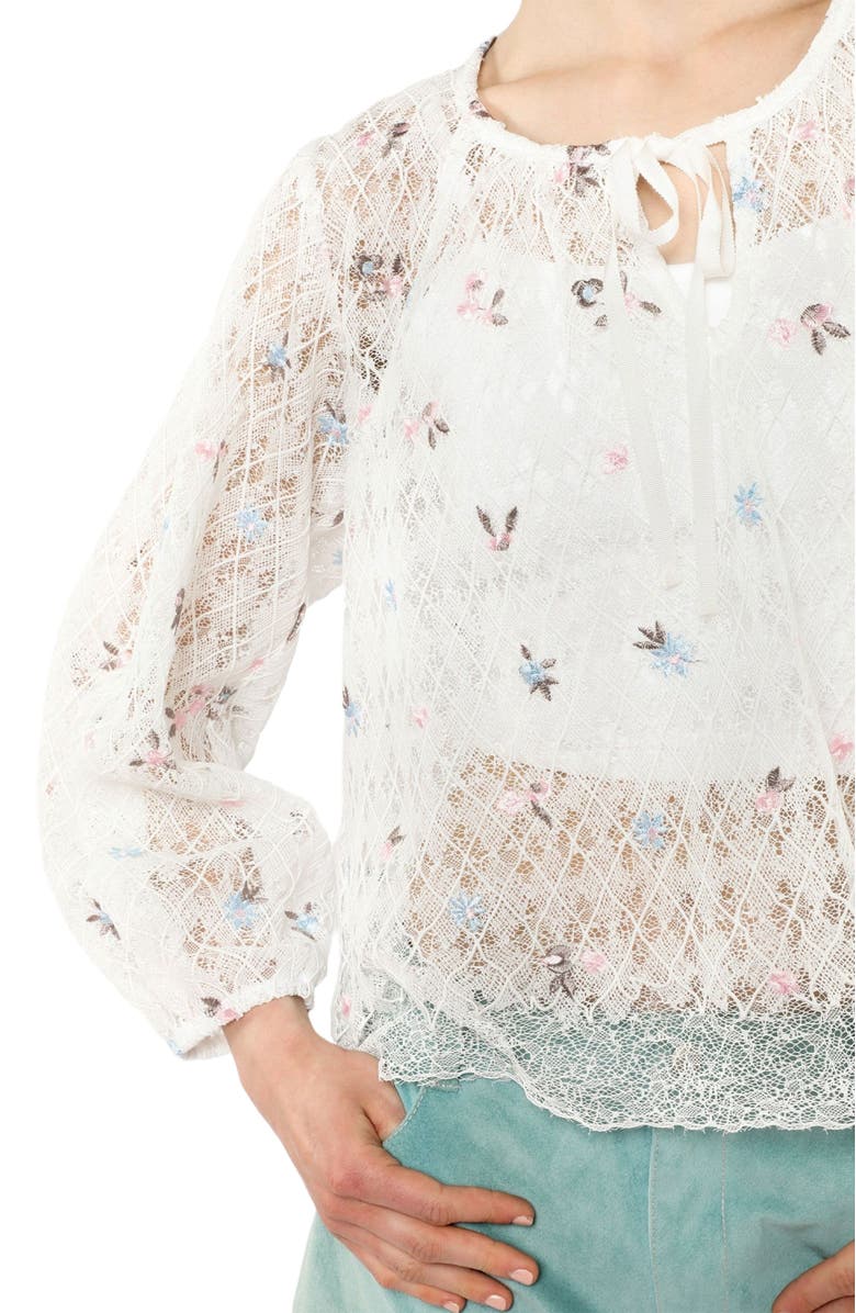Anna Sui Embroidered Lacey Trellis Blouse, Alternate, color, White Multi