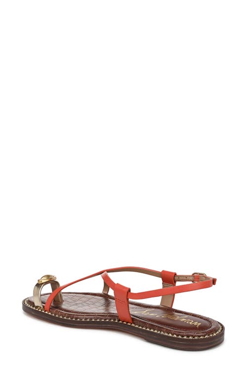 Sam Edelman Tenly Toe Loop Sandal In Orange Sunrise/amber Gold