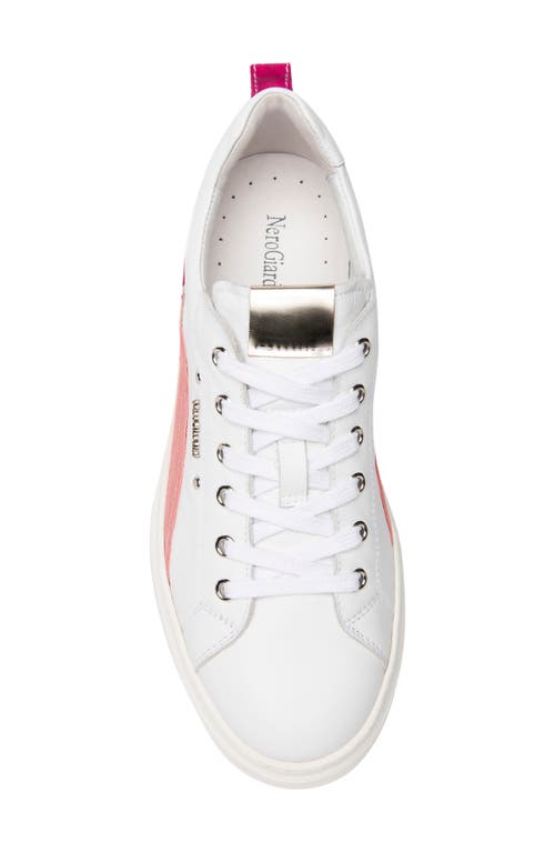 Nerogiardini Retro Colorblock Sneaker