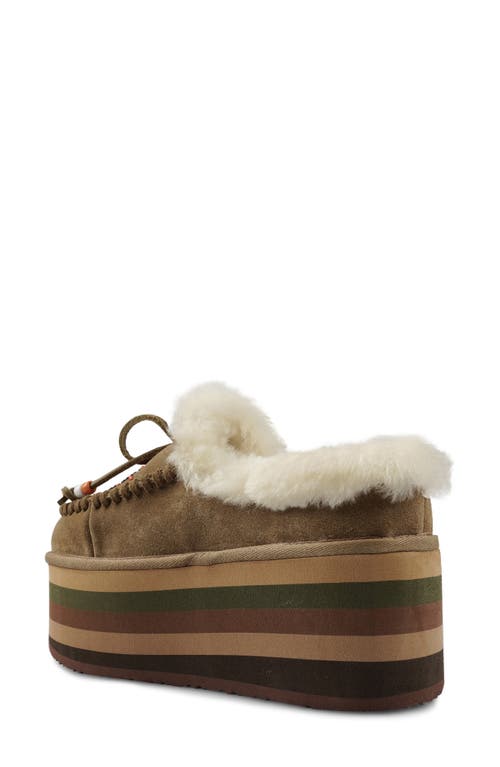 Zigi Birdy Faux Shearling Platform Slipper In Taupe Suede