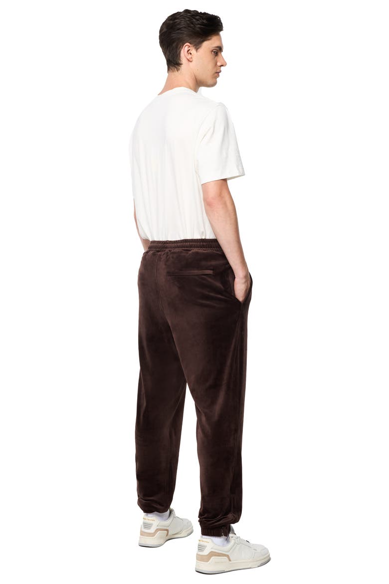 Ostuni Stretch Velour Track Pants, Alternate, color, JAVA