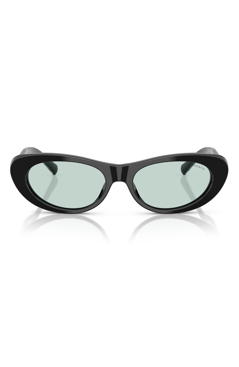 Tiffany & Co. 55mm Oval Sunglasses, Main, color, Black / Light Azure