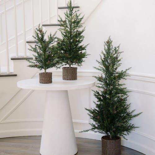 Cg Hunter 2' Pine Tree In Green