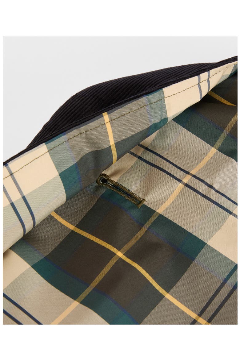 Tartan Waterproof Dog Coat, Alternate, color, ANCIENT TARTAN