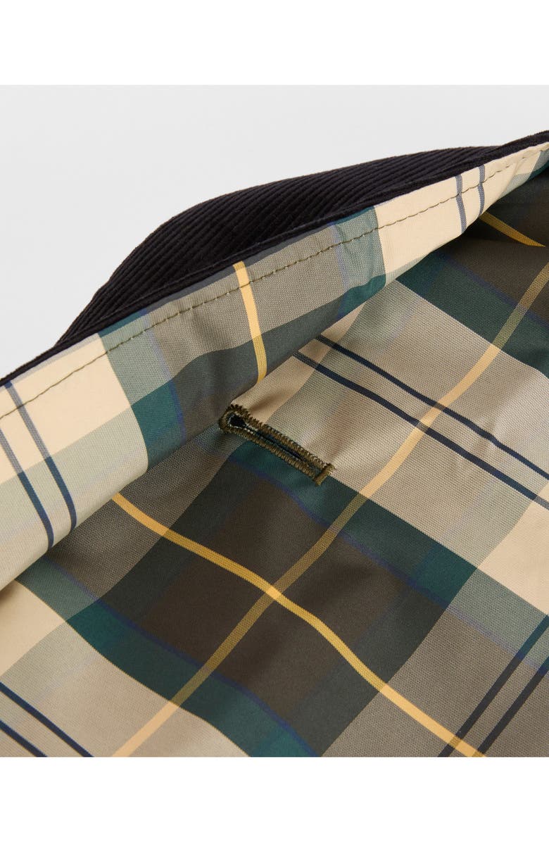 Barbour Tartan Waterproof Dog Coat, Alternate, color, Ancient Tartan