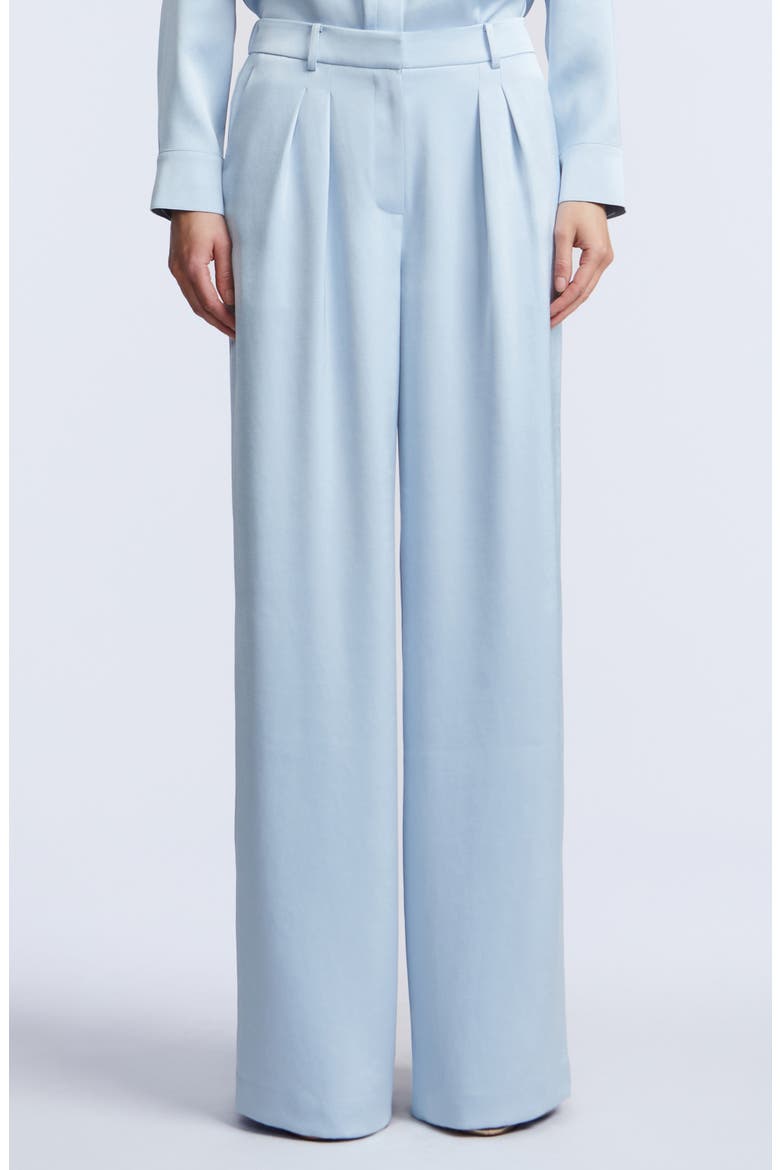 Relaxed Tailored Wide Leg Pants, Main, color, SKYWAY