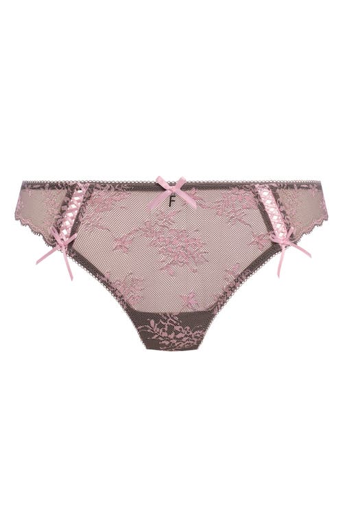 Freya Offbeat Decadence Galloon Lace Briefs In Brown