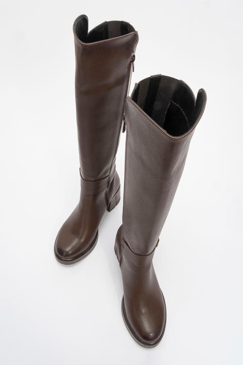 Prologue Shoes Moreni Stretch Buckle Block Heel Knee High Boot In Brown