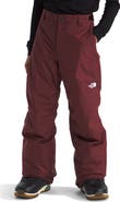 The North Face Kids' Freedom Waterproof Insulated Snow Pants
