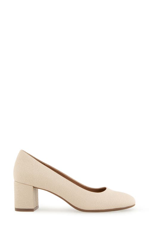 AEROSOLES AEROSOLES EBEL BLOCK HEEL PUMP