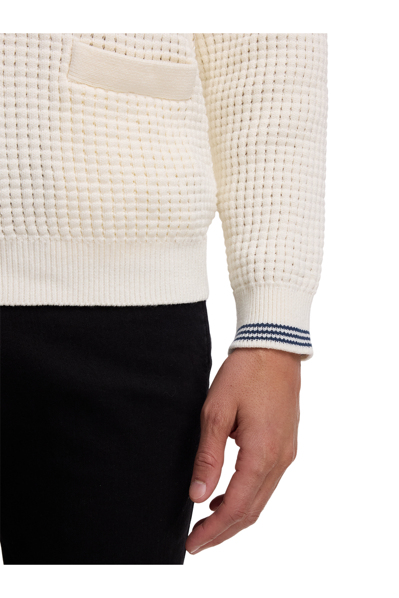 Cotton Button Front Polo, Alternate, color, Ivory