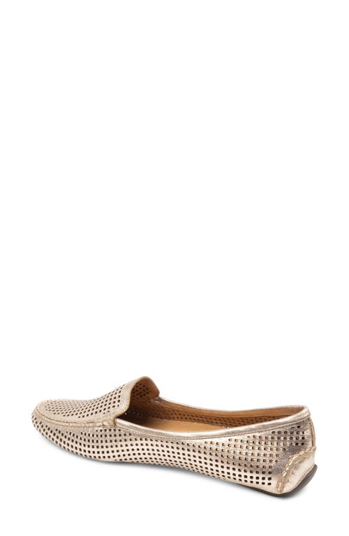 Patricia Green 'barrie' Flat In Gold Leather