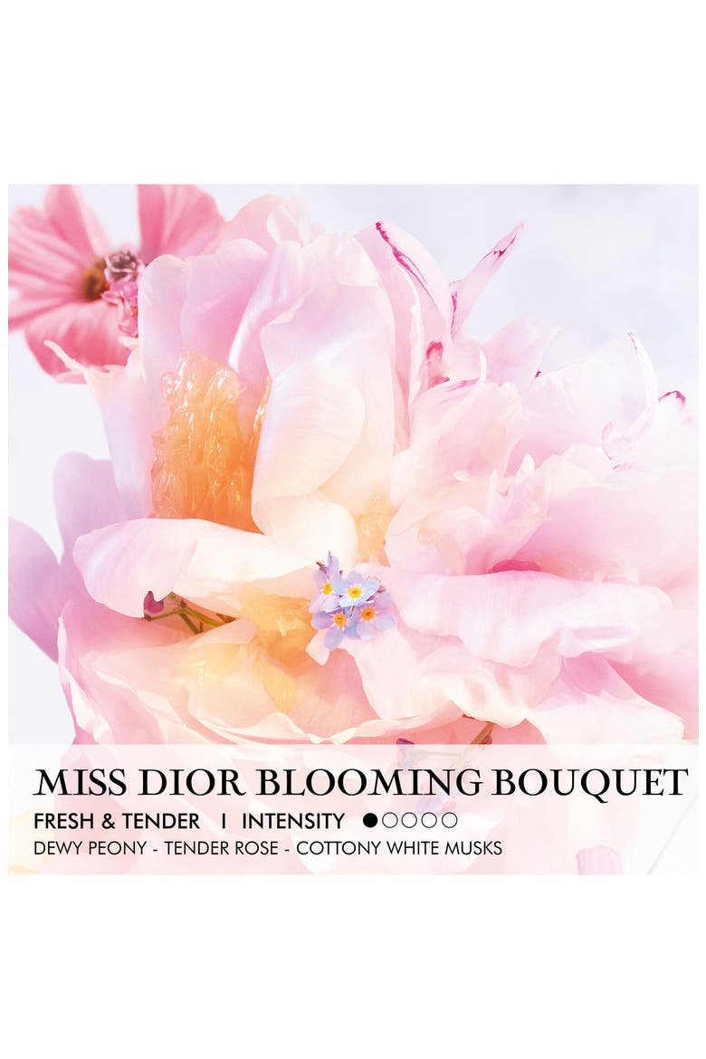 Miss Dior Bloom Bouquet Roller-Pearl, Alternate, color, NO COLOR
