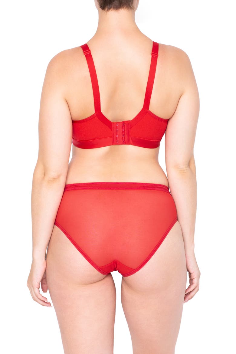 Sheer Mesh High Cut Briefs, Alternate, color, DRAMATIC ROSES