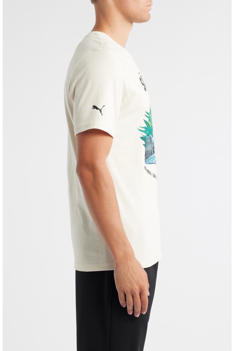 F1 Brazil Cotton Graphic T-Shirt, Alternate, color, ALPINE SNOW