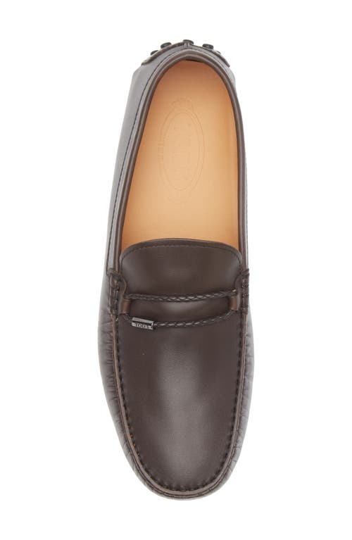 Tod's Morsetto Club Gommino Loafer