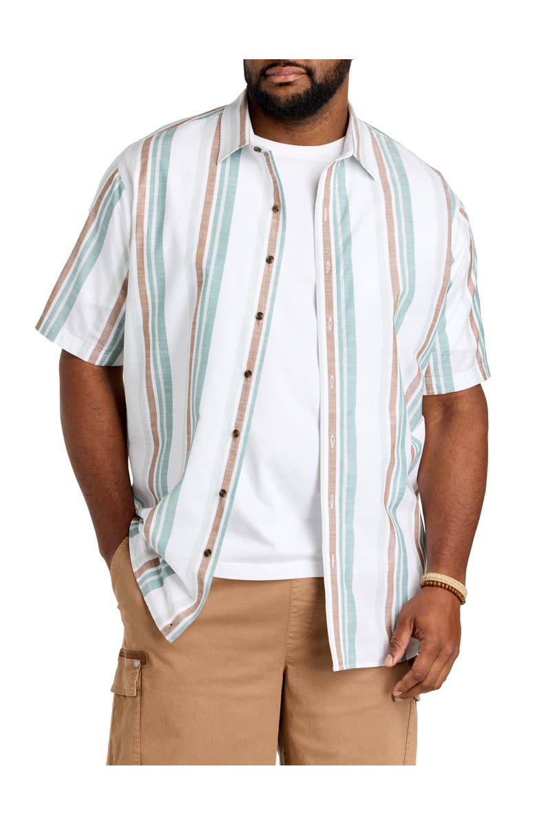True Nation by DXL Big & Tall Striped Sport Shirt, Main, color, Multi