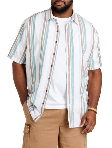 Big & Tall Striped Sport Shirt