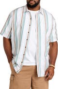 True Nation by DXL Big & Tall Striped Sport Shirt