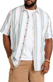 True Nation by DXL Big & Tall Striped Sport Shirt