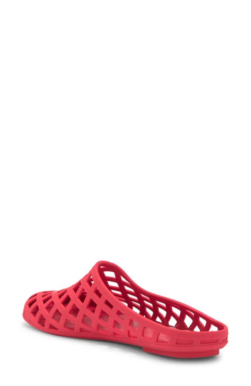 Mia Kandie Jelly Mule
