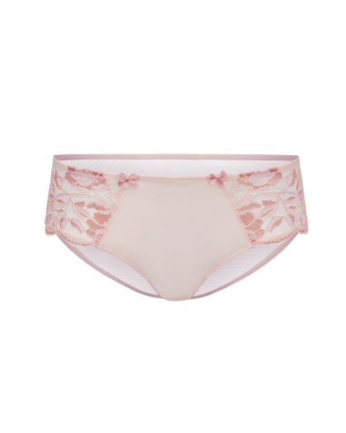 Adore Me Chelsi Hipster Panties In Brown
