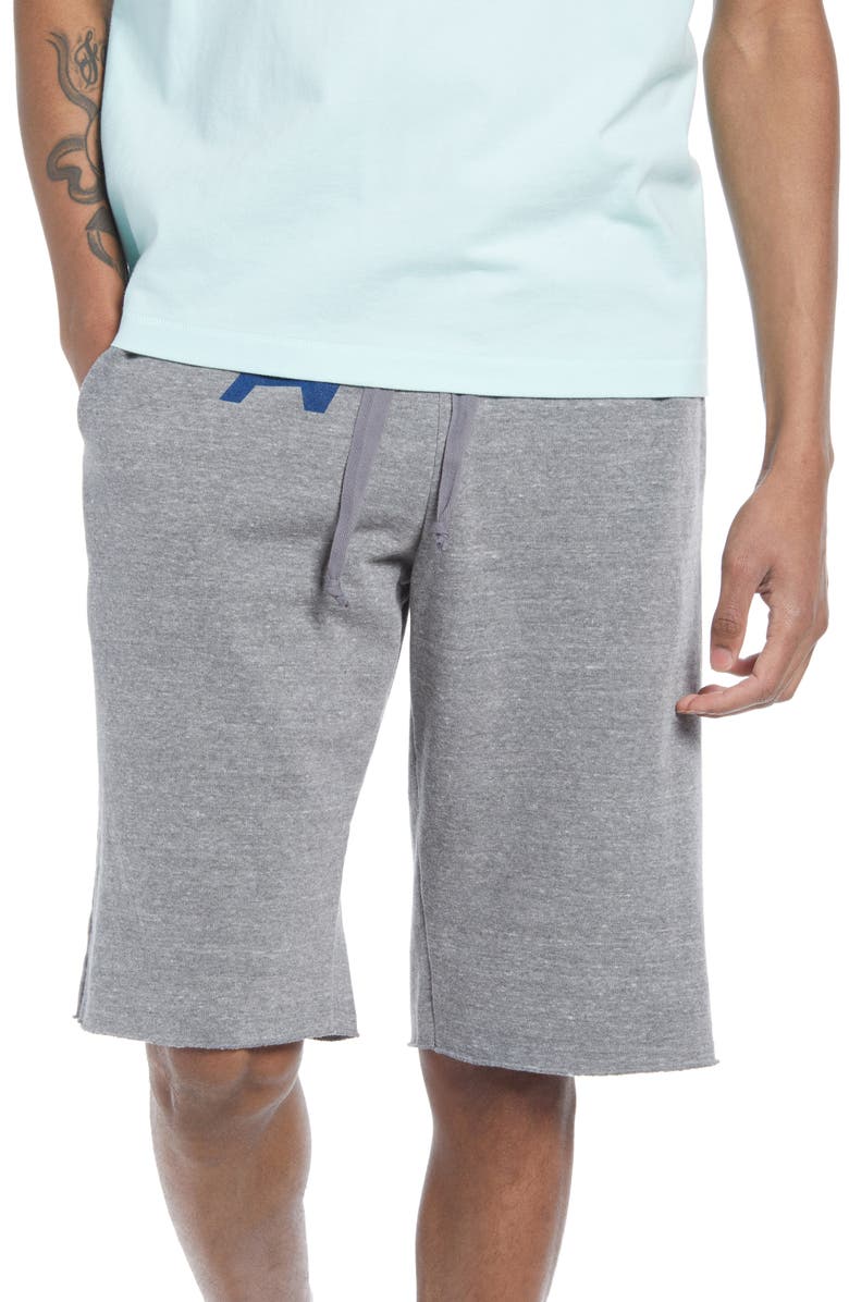 Aviator Nation Cotton Blend Sweat Shorts, Main, color, 