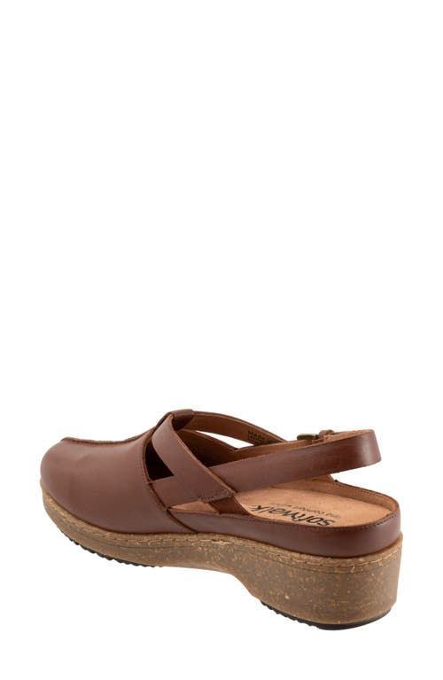 Softwalk ® Arica Slingback Clog In Brown