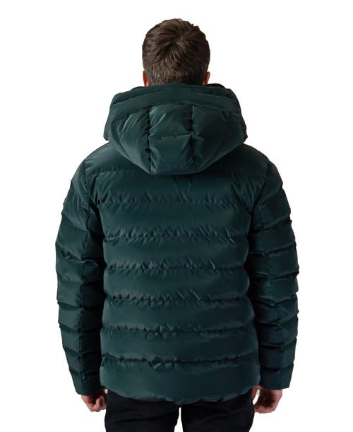 Woodpecker Sparrow Medium Weight Coat In Green