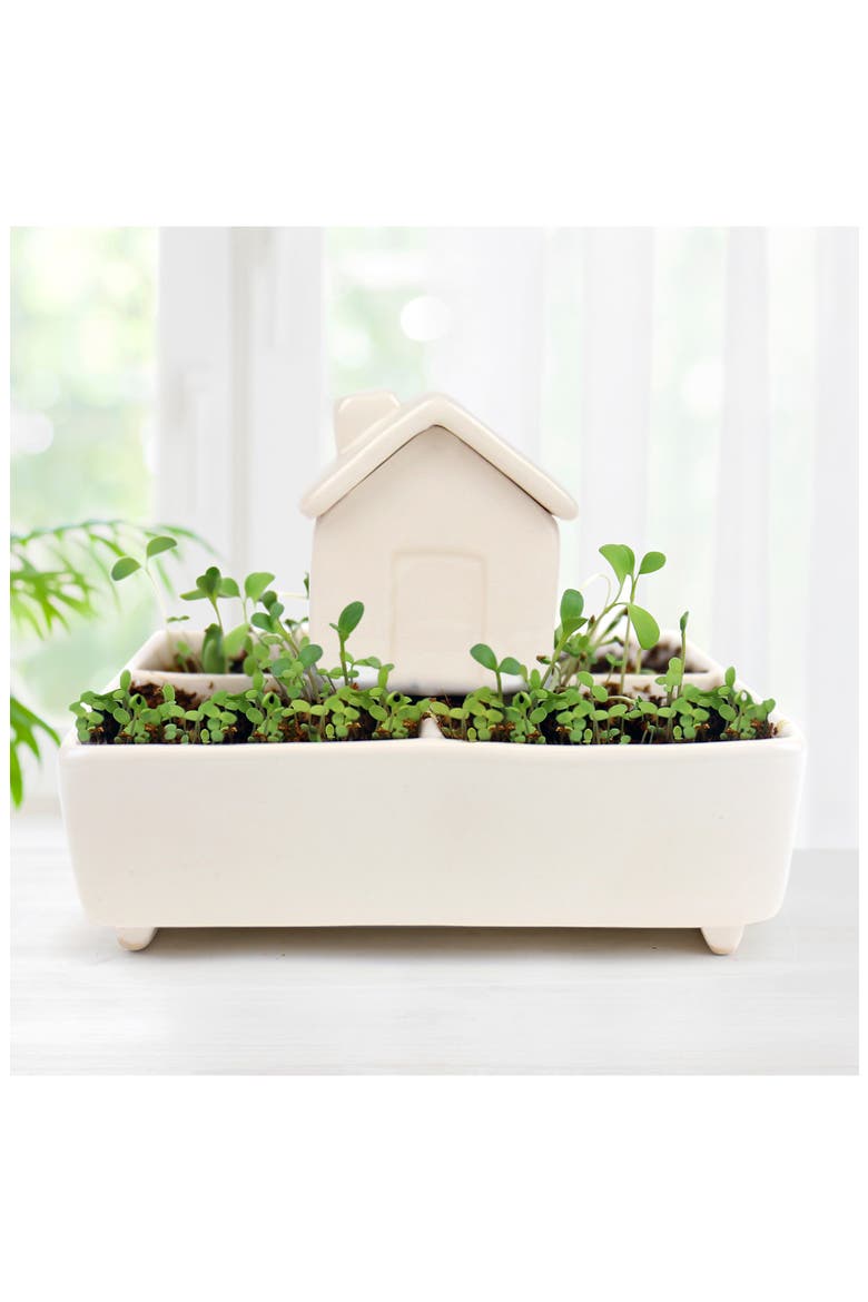 Self-Watering House Herb Garden Grow Kit, Alternate, color, WHITE MULTI