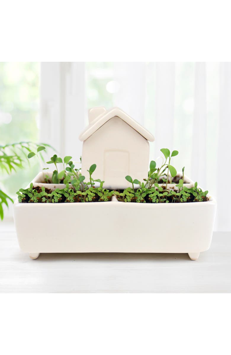 GIFT REPUBLIC Self-Watering House Herb Garden Grow Kit, Alternate, color, White Multi