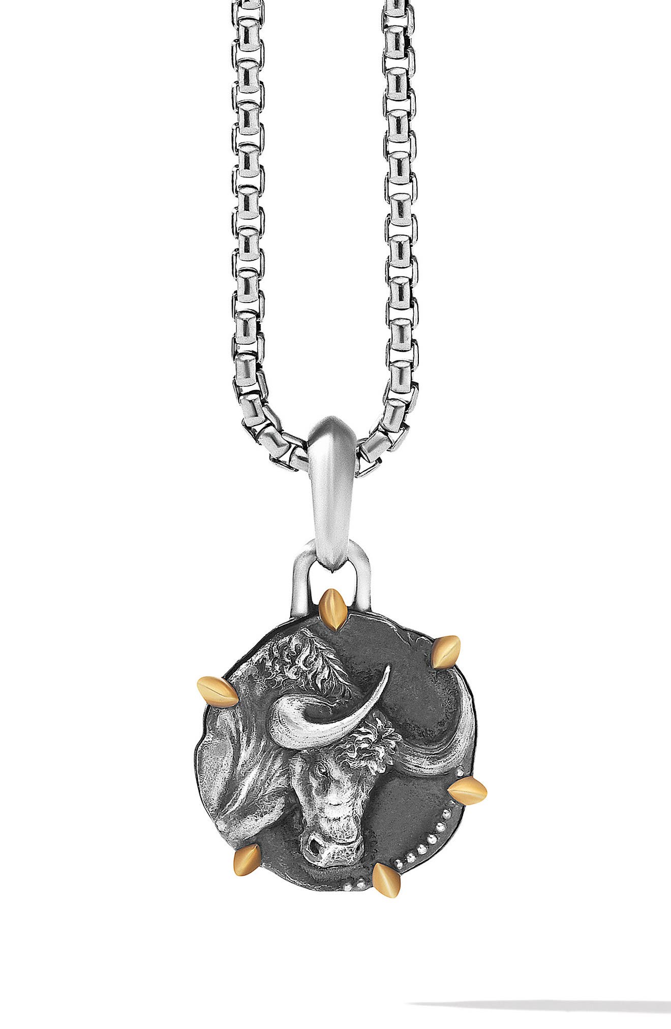 selected SILVER-TAURUS