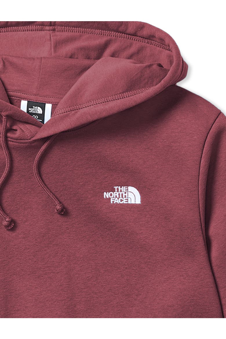 Big & Tall Big Evolution Simple Dome Hoodie, Alternate, color, SUMAC
