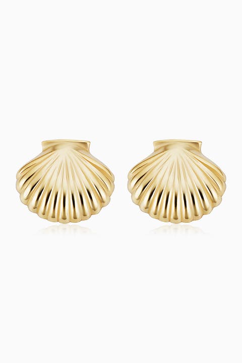 14K Yellow Gold Seashell Studs