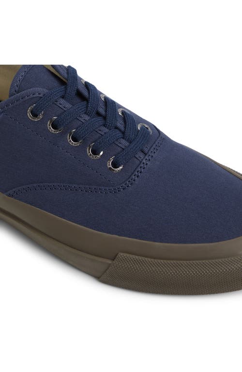 Sperry Top Sider Cvo Sneaker In Blue